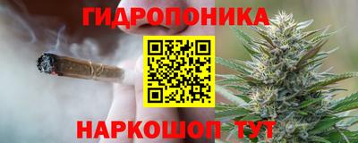 гидра Кунгур