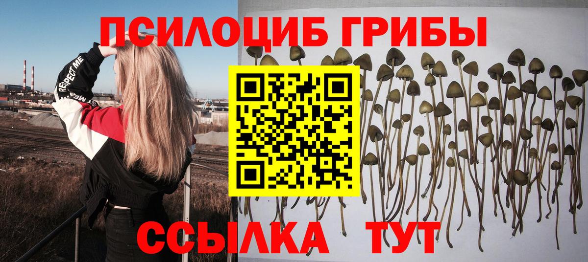 Псилоцибиновые грибы мухоморы  Вход с VPN  Хабаровск 